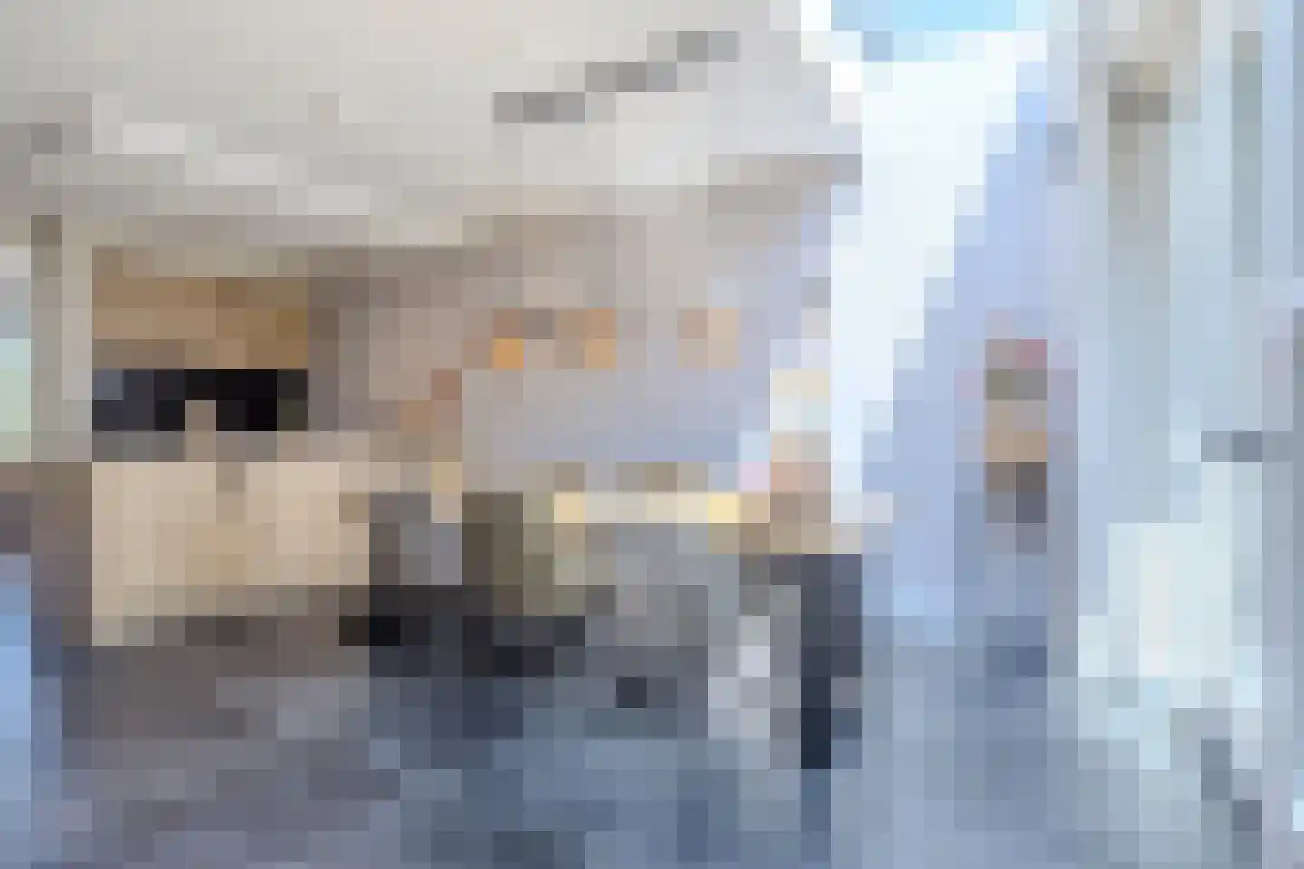 Leijgraafhof 29 De Mortel thumbnail 4