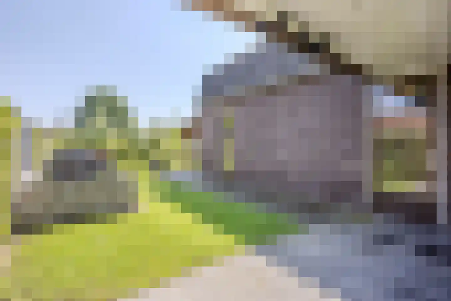 Leijgraafhof 29 De Mortel thumbnail 49