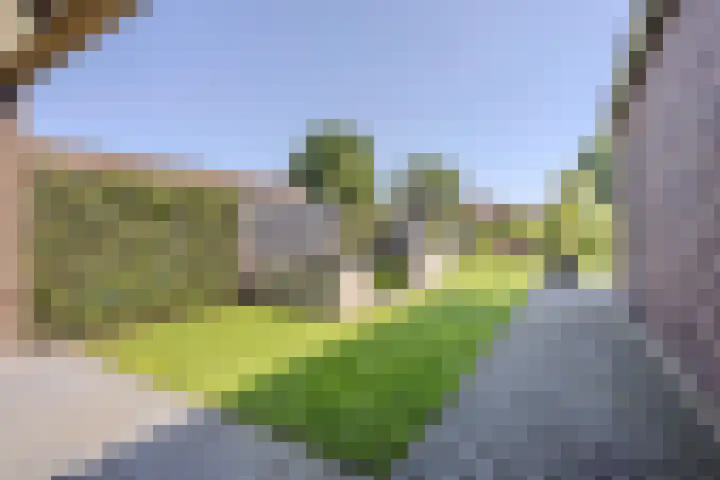 Leijgraafhof 29 De Mortel thumbnail 50
