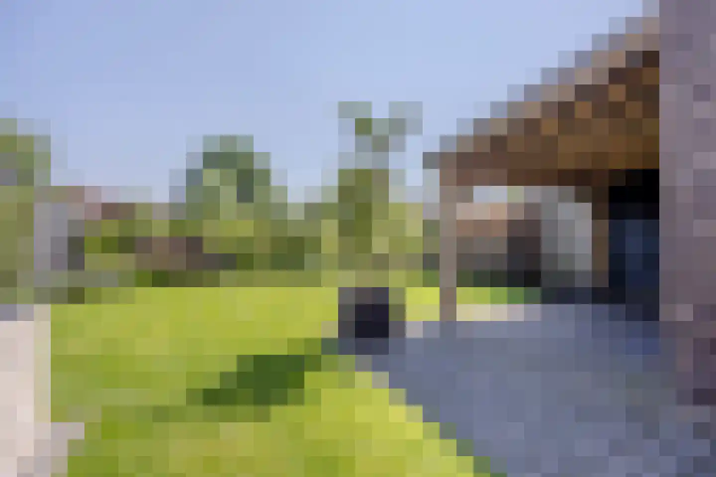 Leijgraafhof 29 De Mortel thumbnail 51