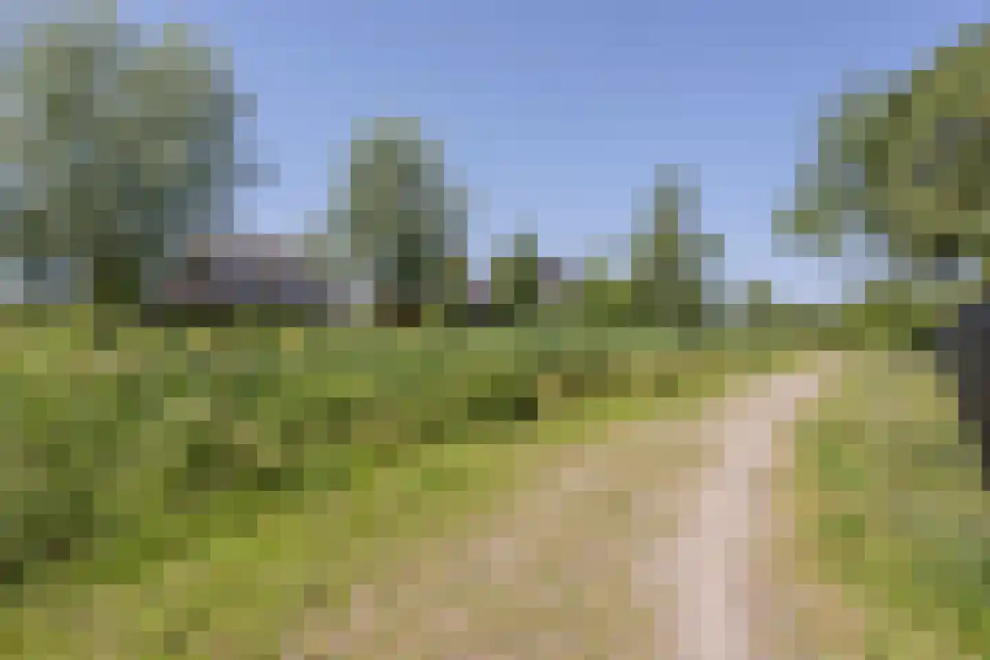 Leijgraafhof 29 De Mortel thumbnail 66