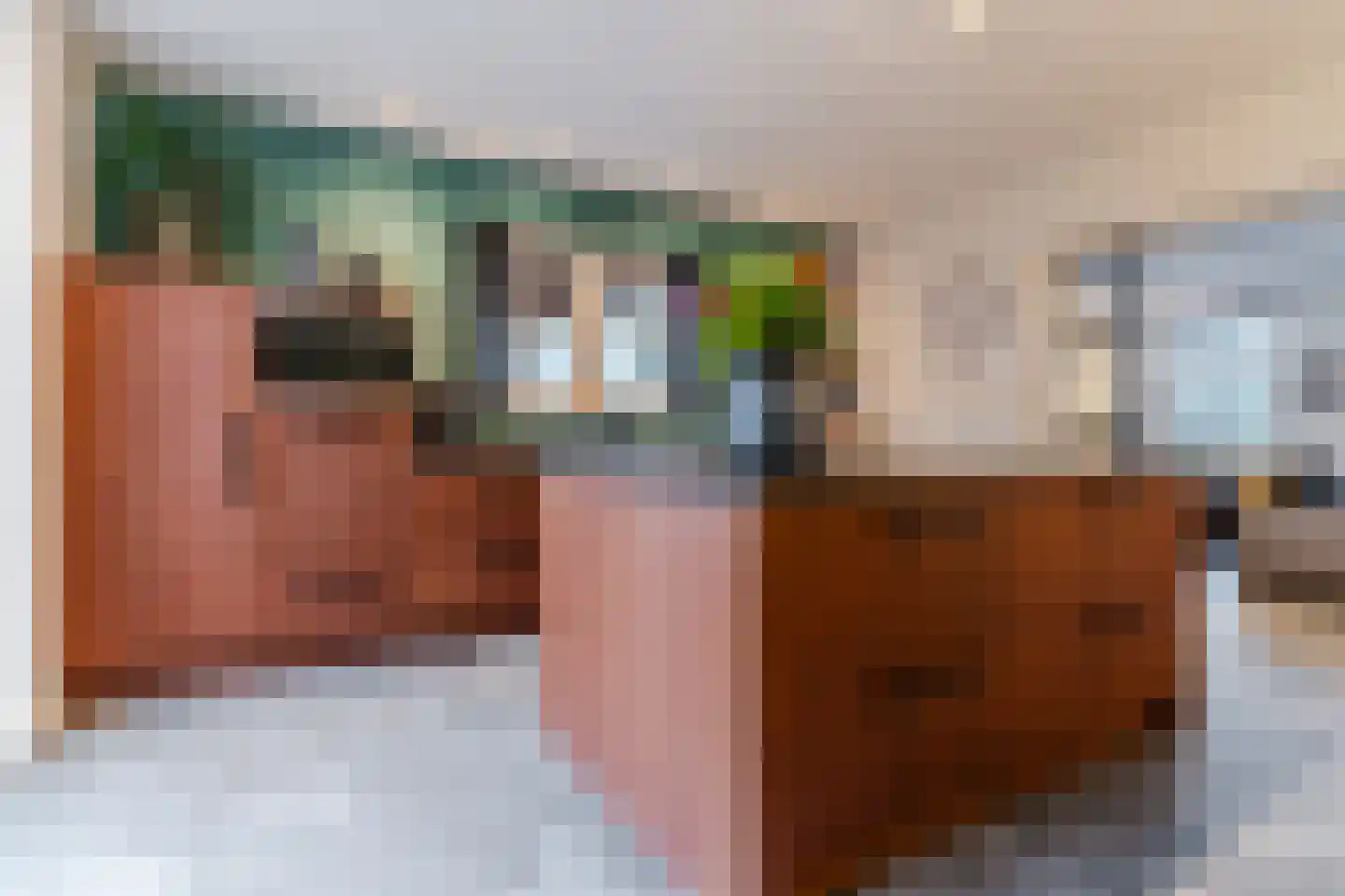 Leijgraafhof 44 De Mortel thumbnail 13