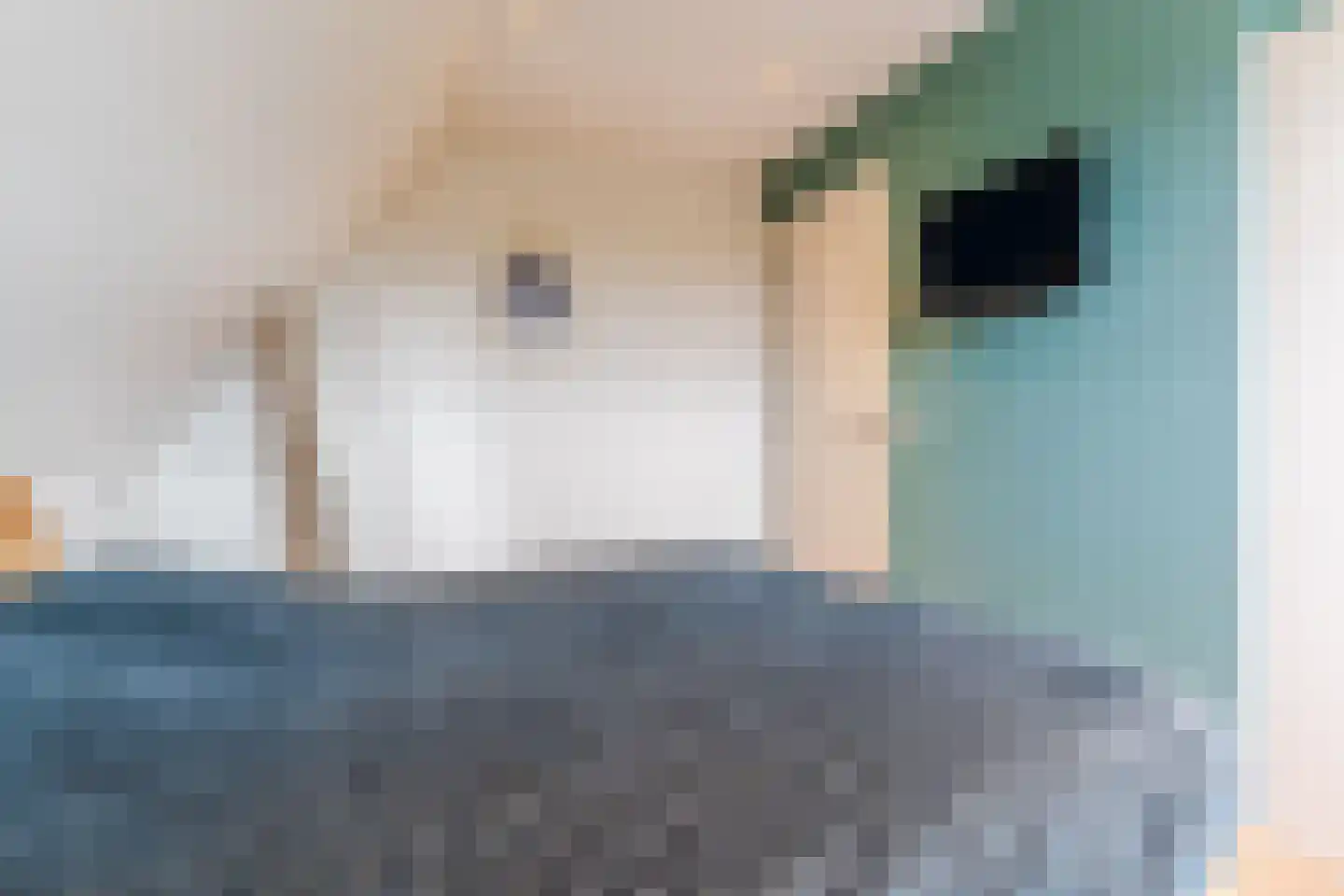 Leijgraafhof 44 De Mortel thumbnail 45
