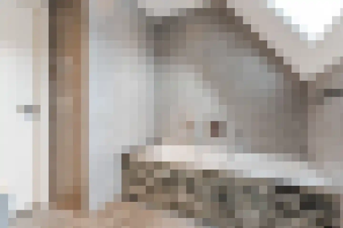 Leijgraafhof 44 De Mortel thumbnail 49