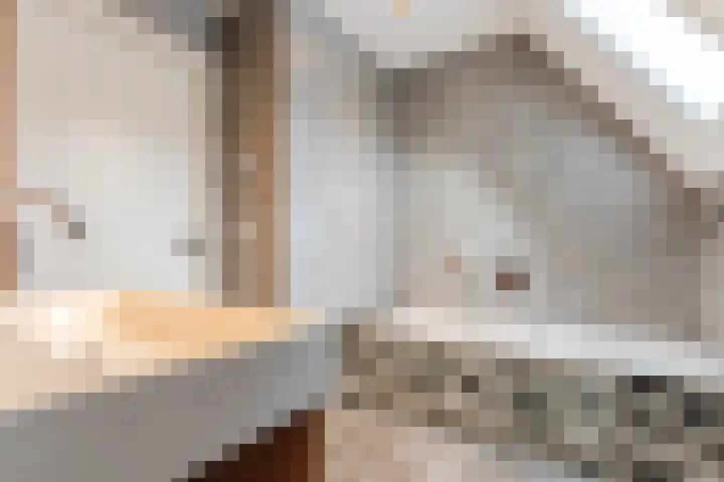 Leijgraafhof 44 De Mortel thumbnail 50