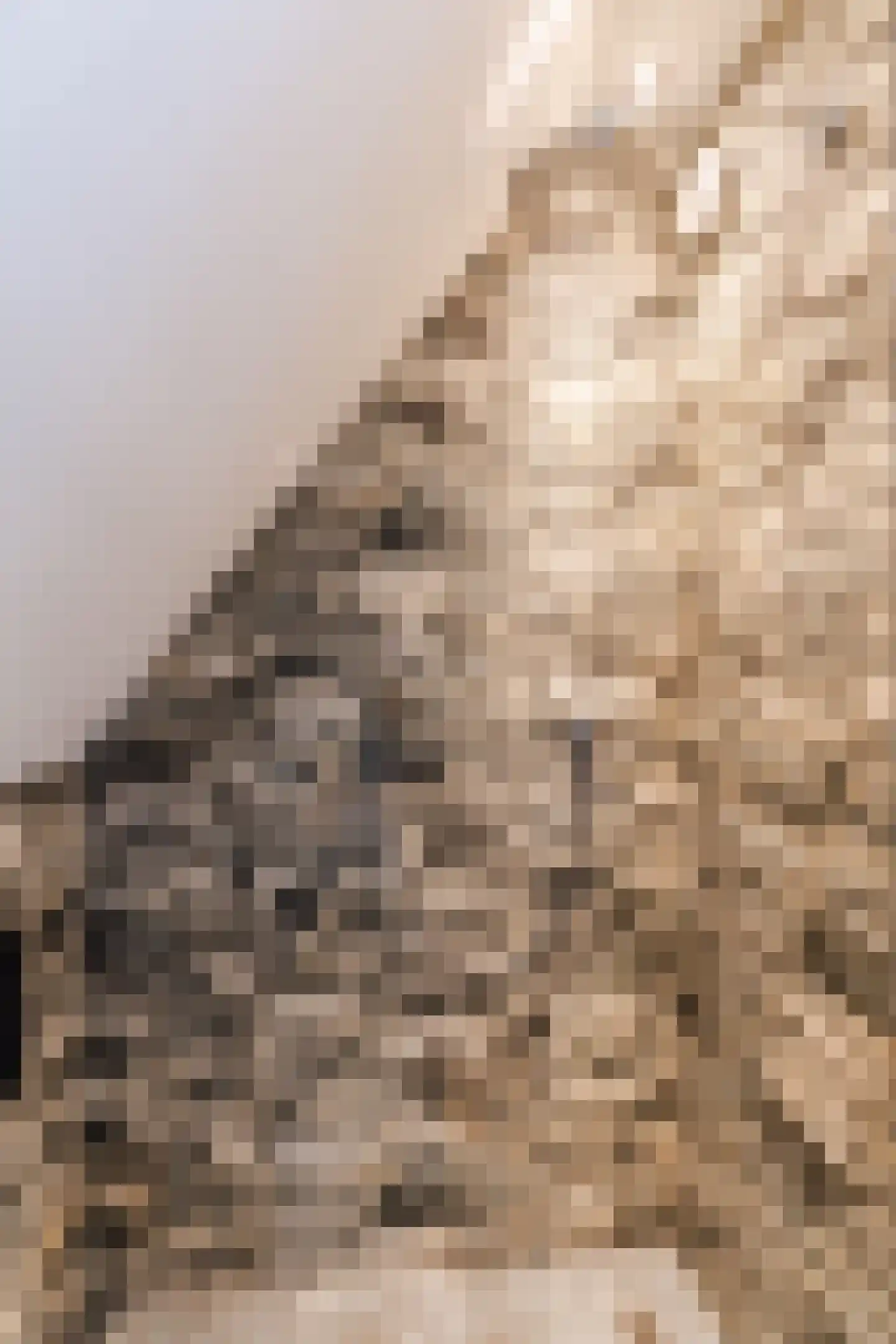 Leijgraafhof 44 De Mortel thumbnail 53