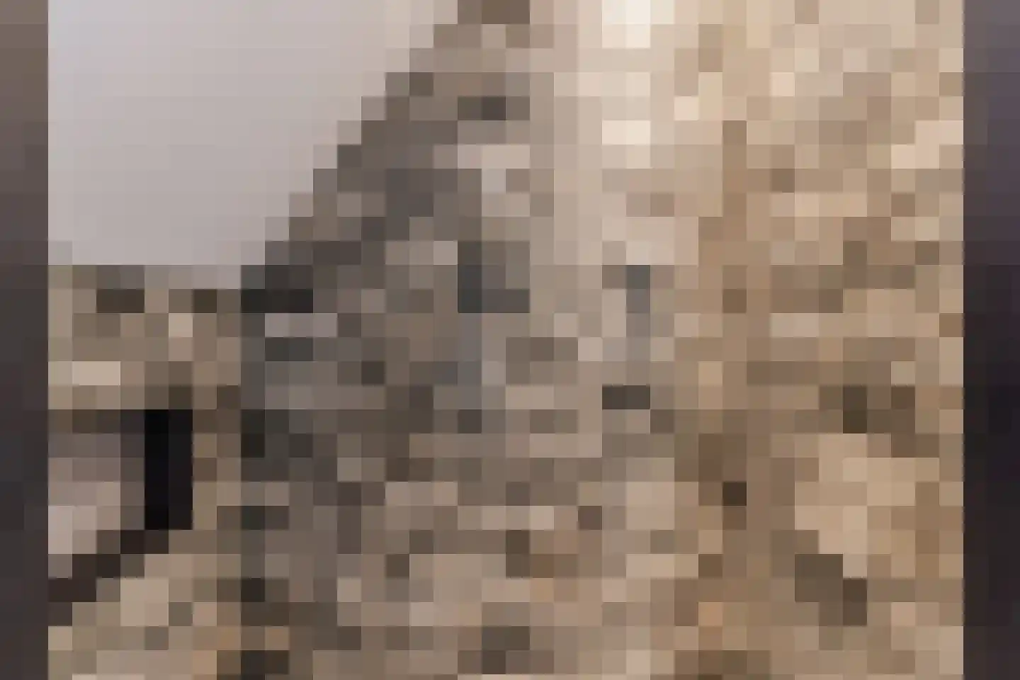 Leijgraafhof 44 De Mortel thumbnail 54