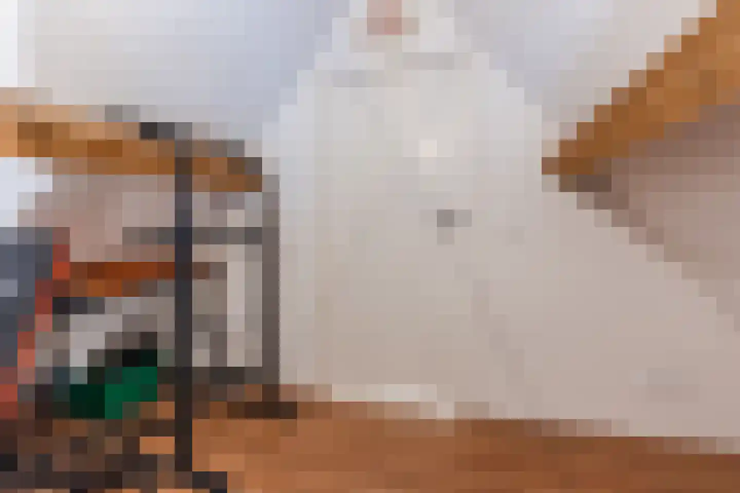 Leijgraafhof 44 De Mortel thumbnail 59