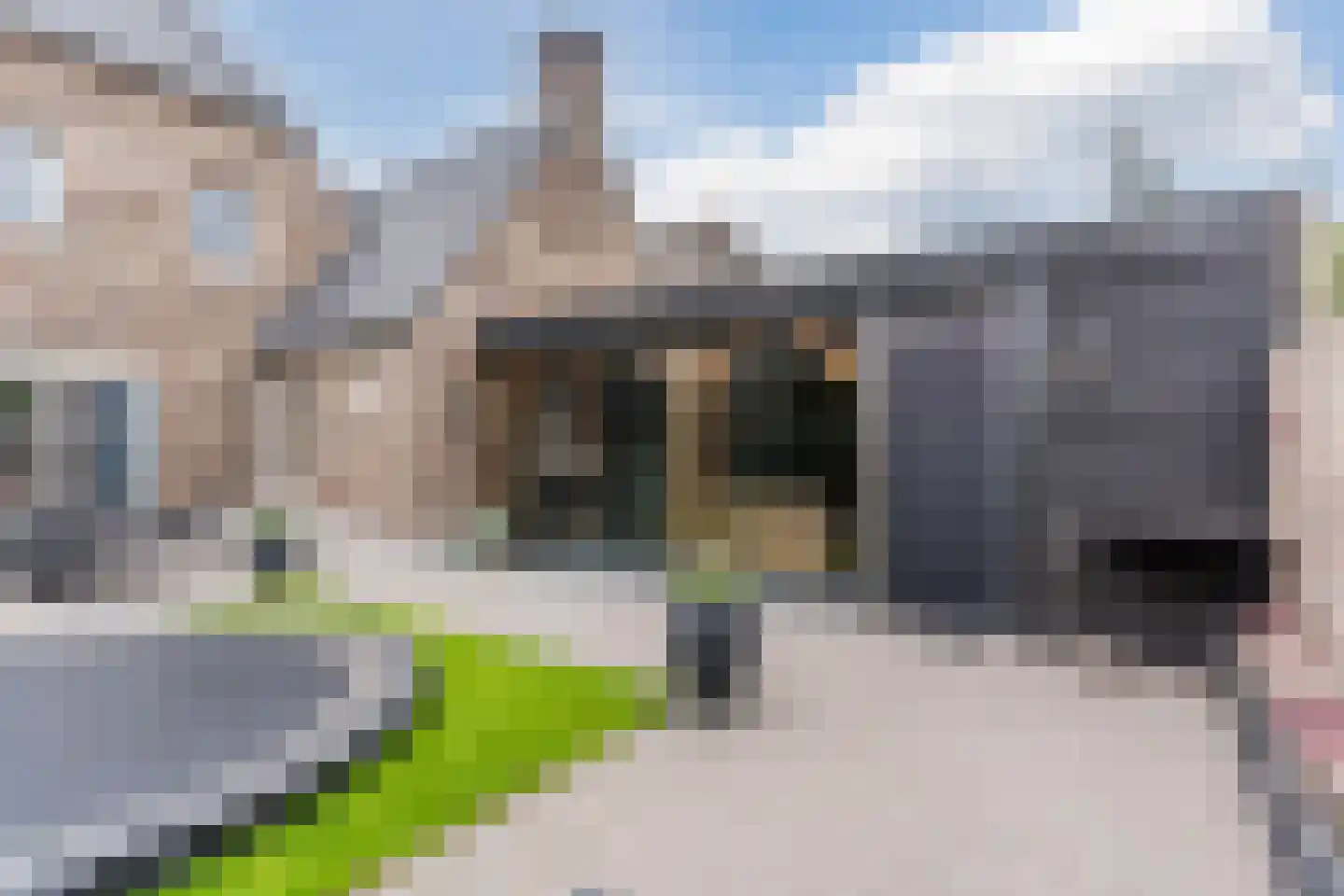 Leijgraafhof 44 De Mortel thumbnail 65