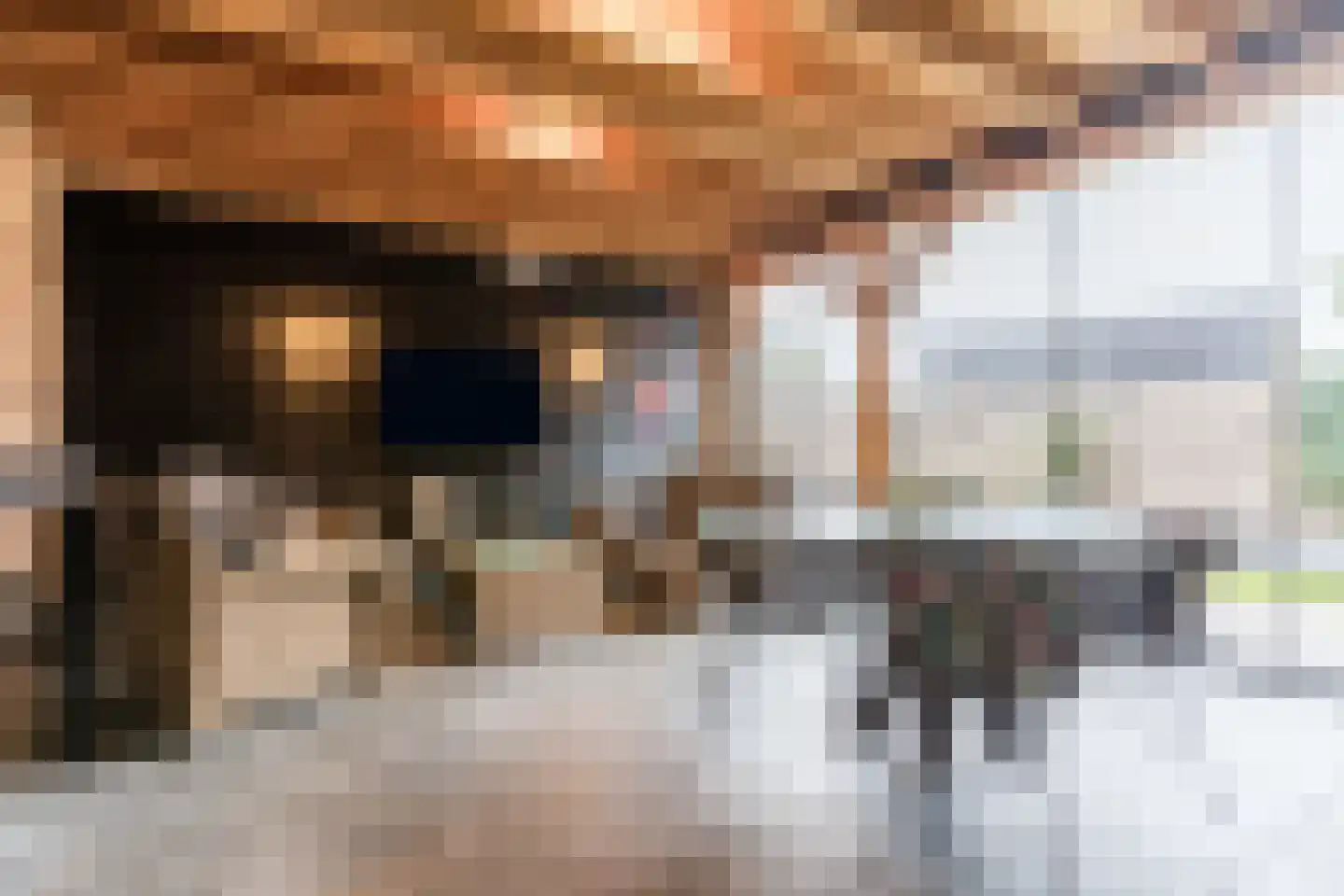 Leijgraafhof 44 De Mortel thumbnail 66