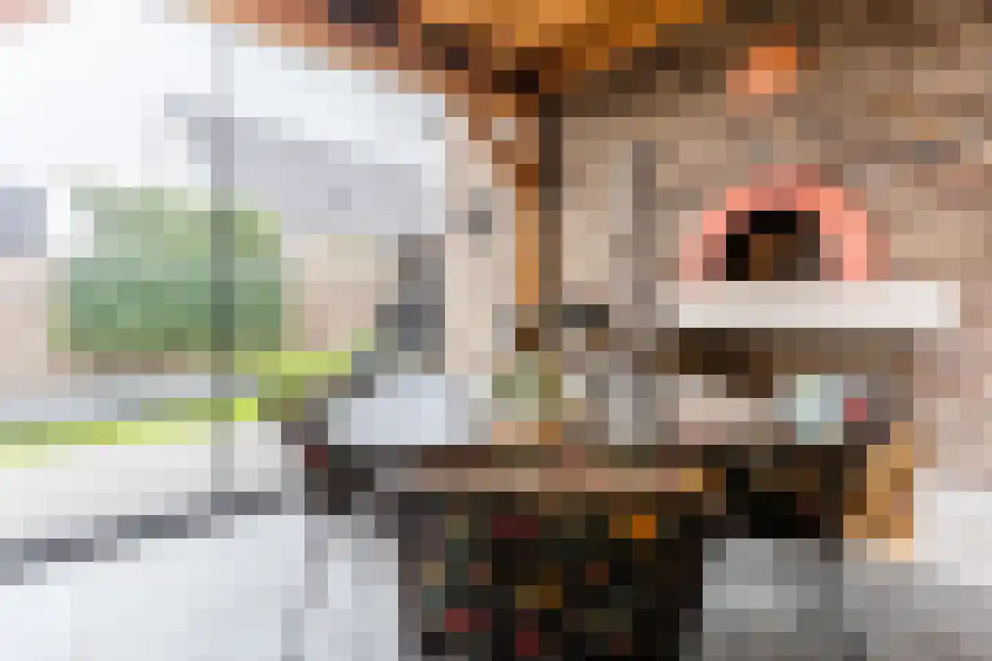 Leijgraafhof 44 De Mortel thumbnail 69