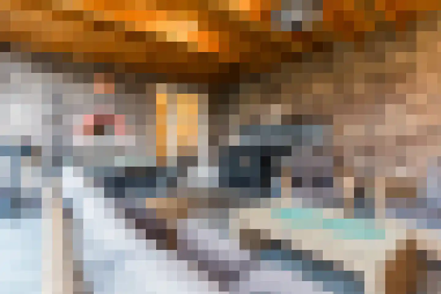 Leijgraafhof 44 De Mortel thumbnail 70