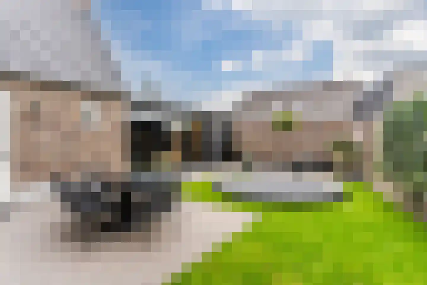 Leijgraafhof 44 De Mortel thumbnail 73