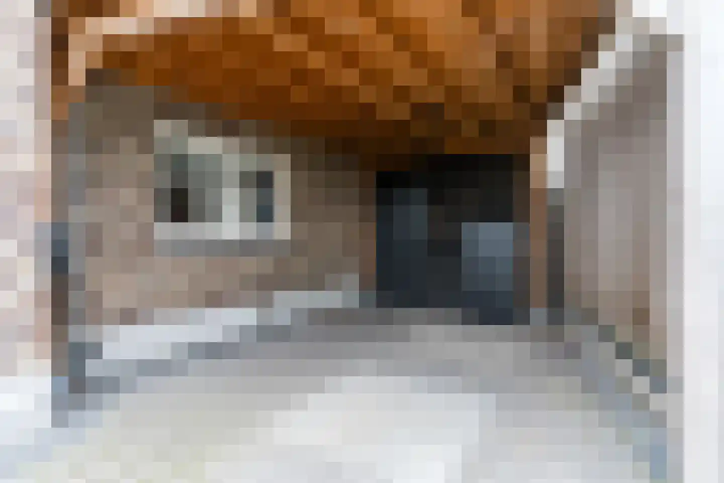 Leijgraafhof 44 De Mortel thumbnail 76