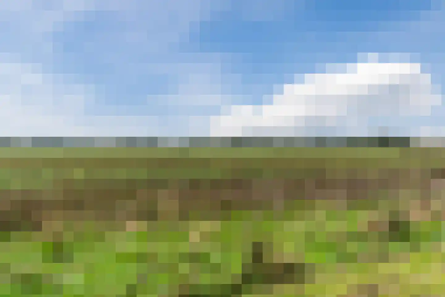 Leijgraafhof 44 De Mortel thumbnail 83