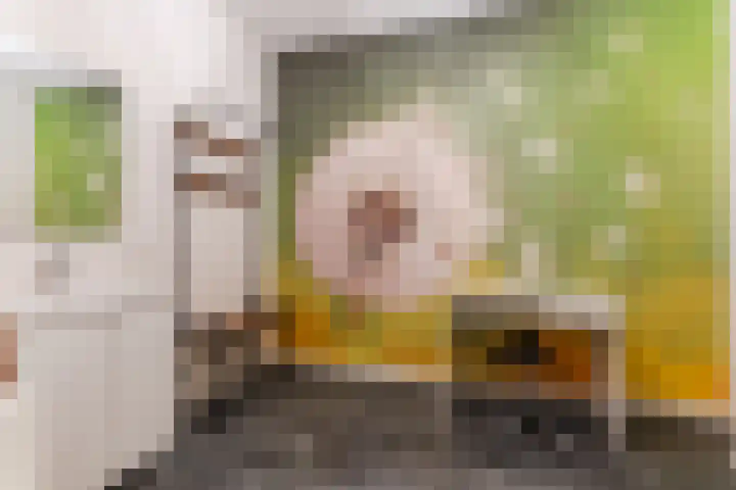 Leijgraafhof 44 De Mortel thumbnail 9