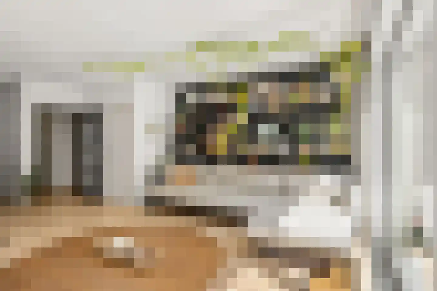 Leijhof 13 Almere thumbnail 12