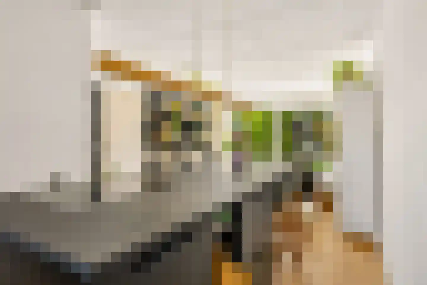 Leijhof 13 Almere thumbnail 15