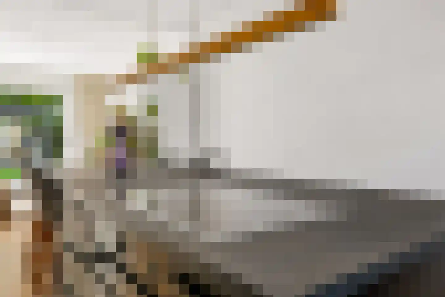 Leijhof 13 Almere thumbnail 20