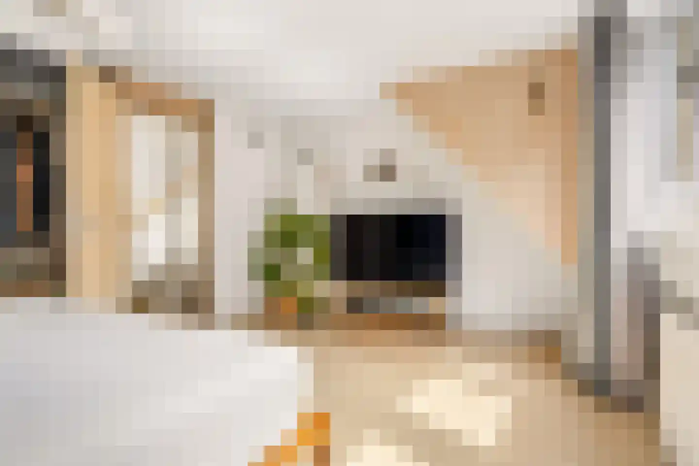 Leijhof 13 Almere thumbnail 25