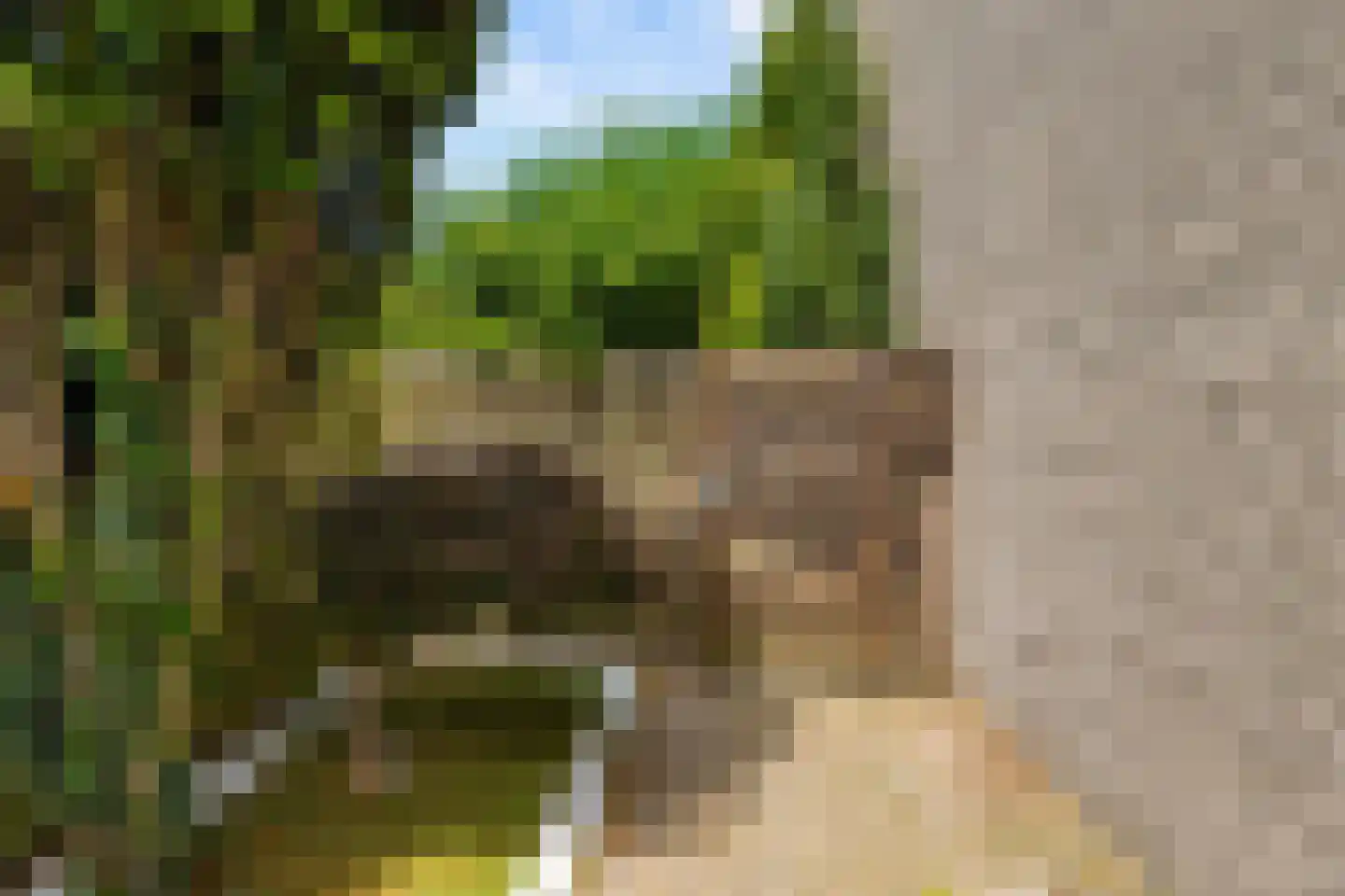 Leijhof 13 Almere thumbnail 47