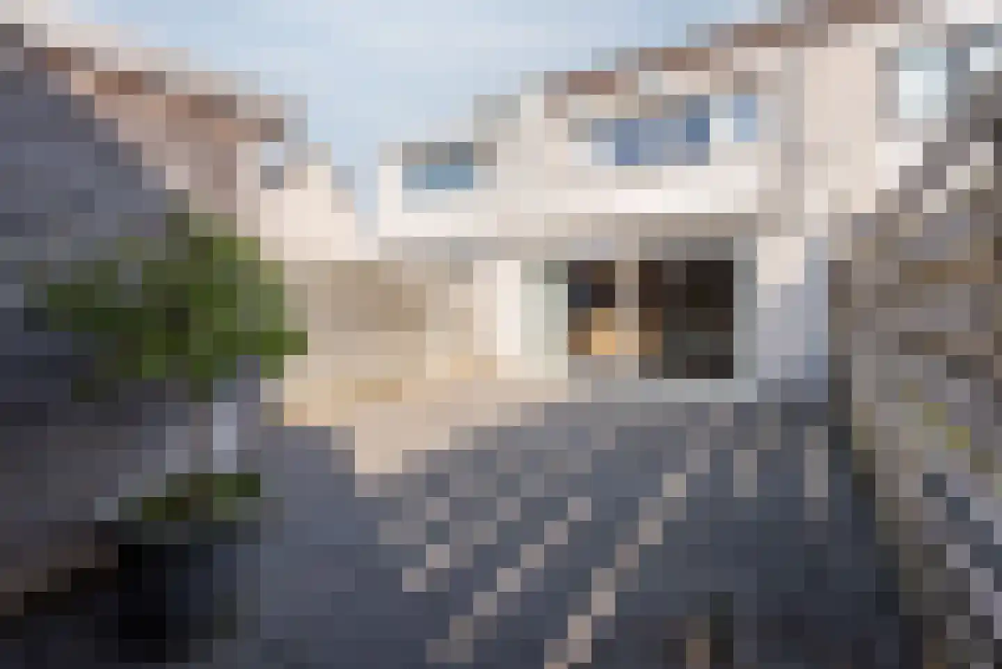 Leijhof 2 Almere thumbnail 37
