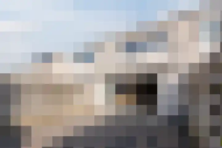 Leijhof 2 Almere thumbnail 38