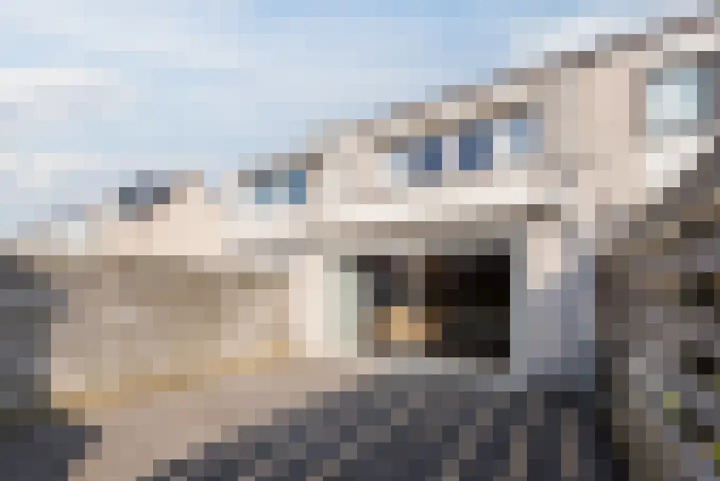 Leijhof 2 Almere thumbnail 38