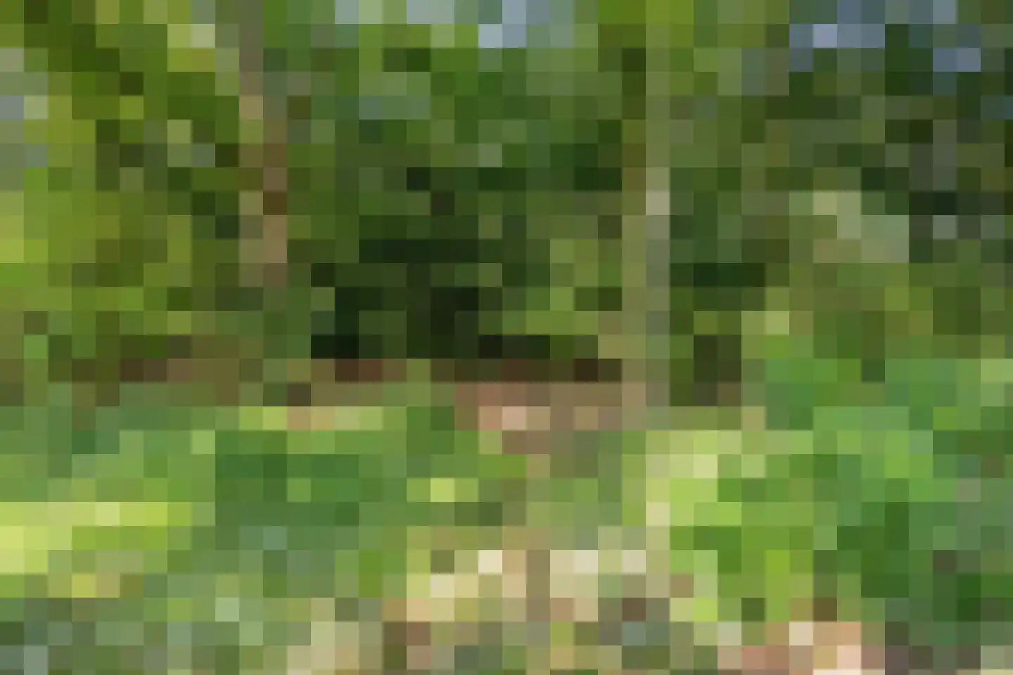 Leijparkweg 75 Tilburg thumbnail 36