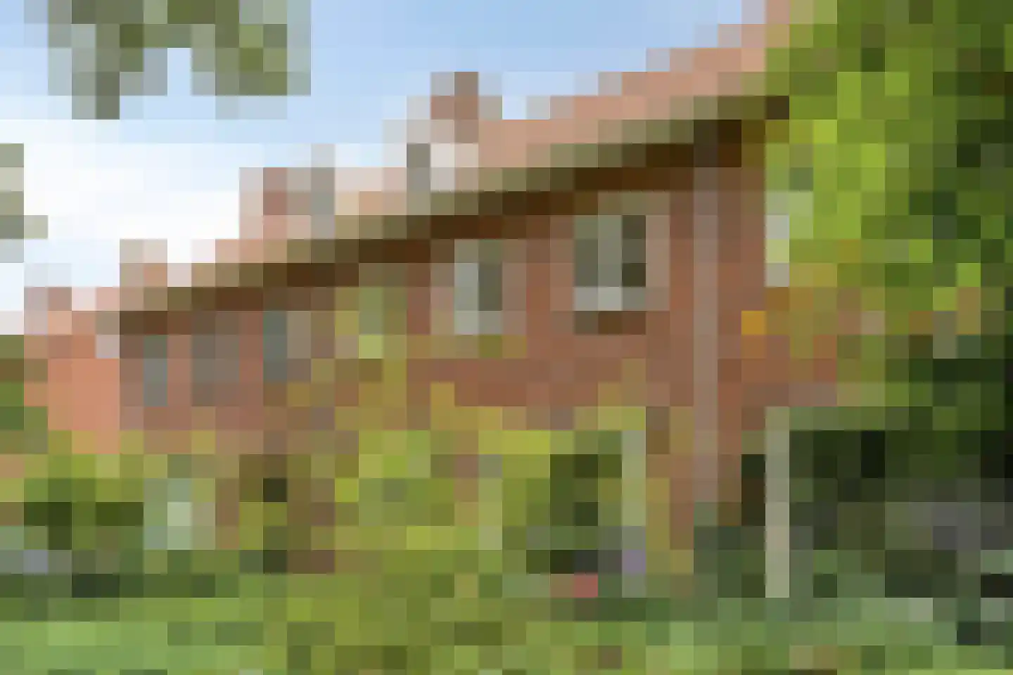 Leijparkweg 75 Tilburg thumbnail 4