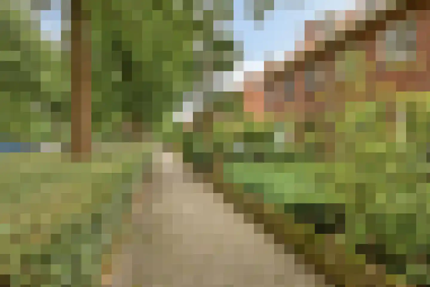 Leijparkweg 75 Tilburg thumbnail 5