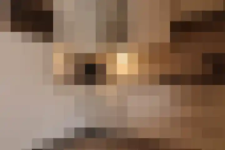 Leijsenhoek 21 A Oosterhout thumbnail 10