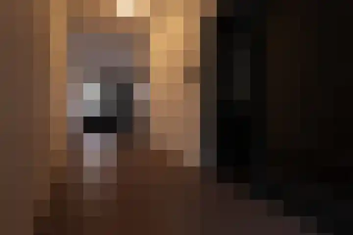 Leijsenhoek 21 A Oosterhout thumbnail 20