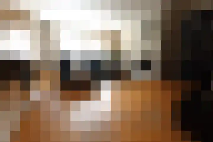 Leijsenhoek 21 A Oosterhout thumbnail 4