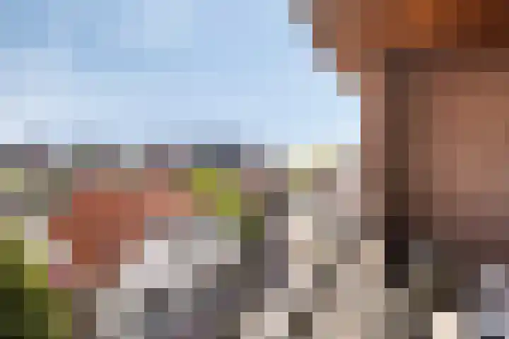 Leijsenhoek 25 Oosterhout thumbnail 11