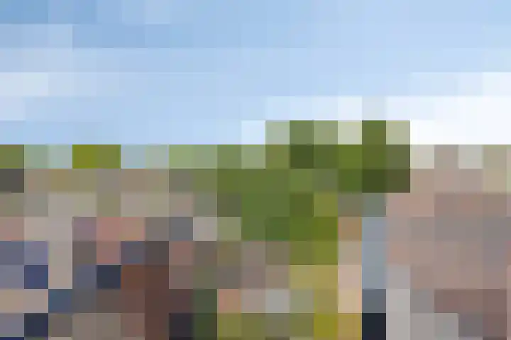 Leijsenhoek 25 Oosterhout thumbnail 15