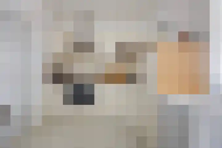 Leijsenhoek 25 Oosterhout thumbnail 8