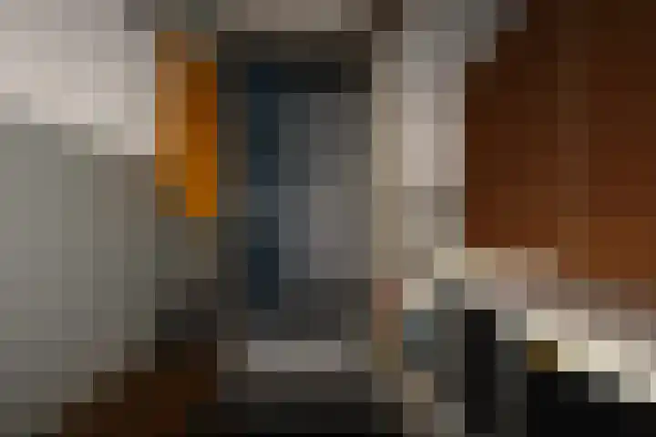 Leijsenhoek 33 Oosterhout thumbnail 18