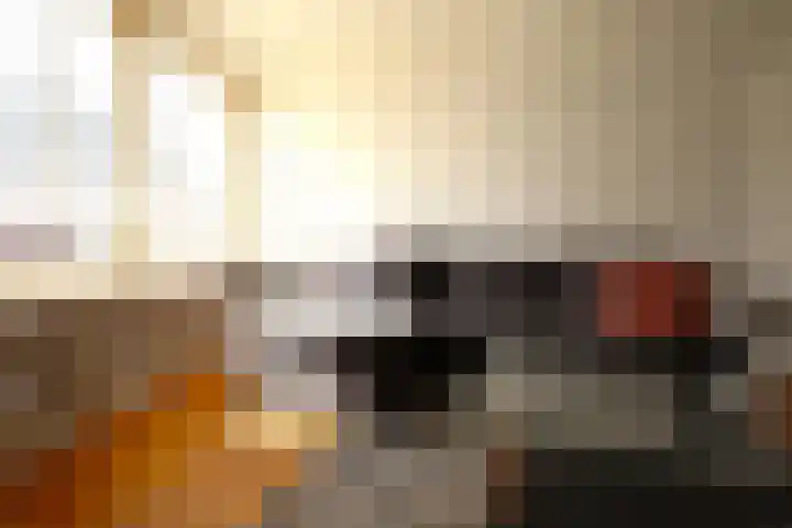 Leijsenhoek 33 Oosterhout thumbnail 7