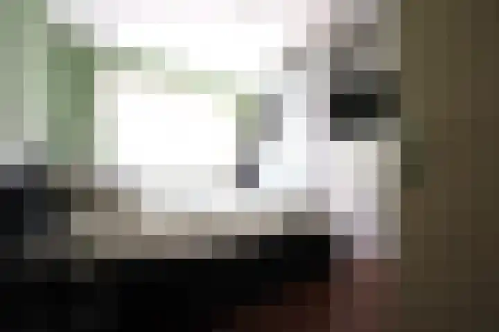 Leijsenhoek 33 Oosterhout thumbnail 9