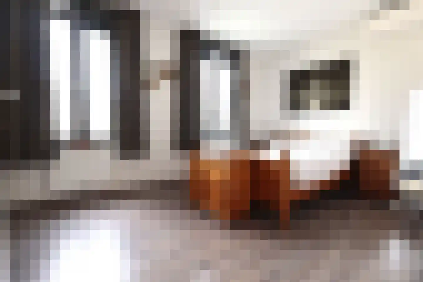 Leijsenhoek 66 A Oosterhout thumbnail 9