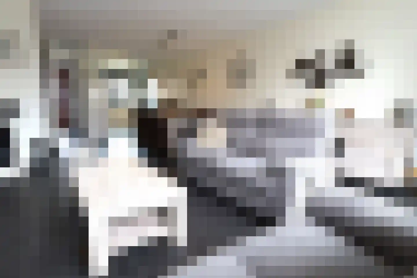 Leijsenhoek 66 A Oosterhout thumbnail 4