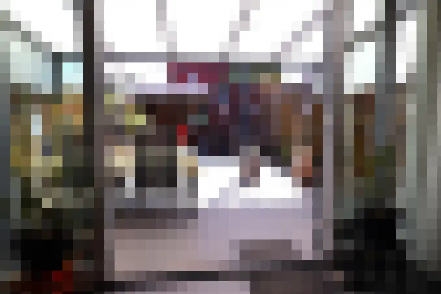 Leijsenhoek 66 A Oosterhout thumbnail 4
