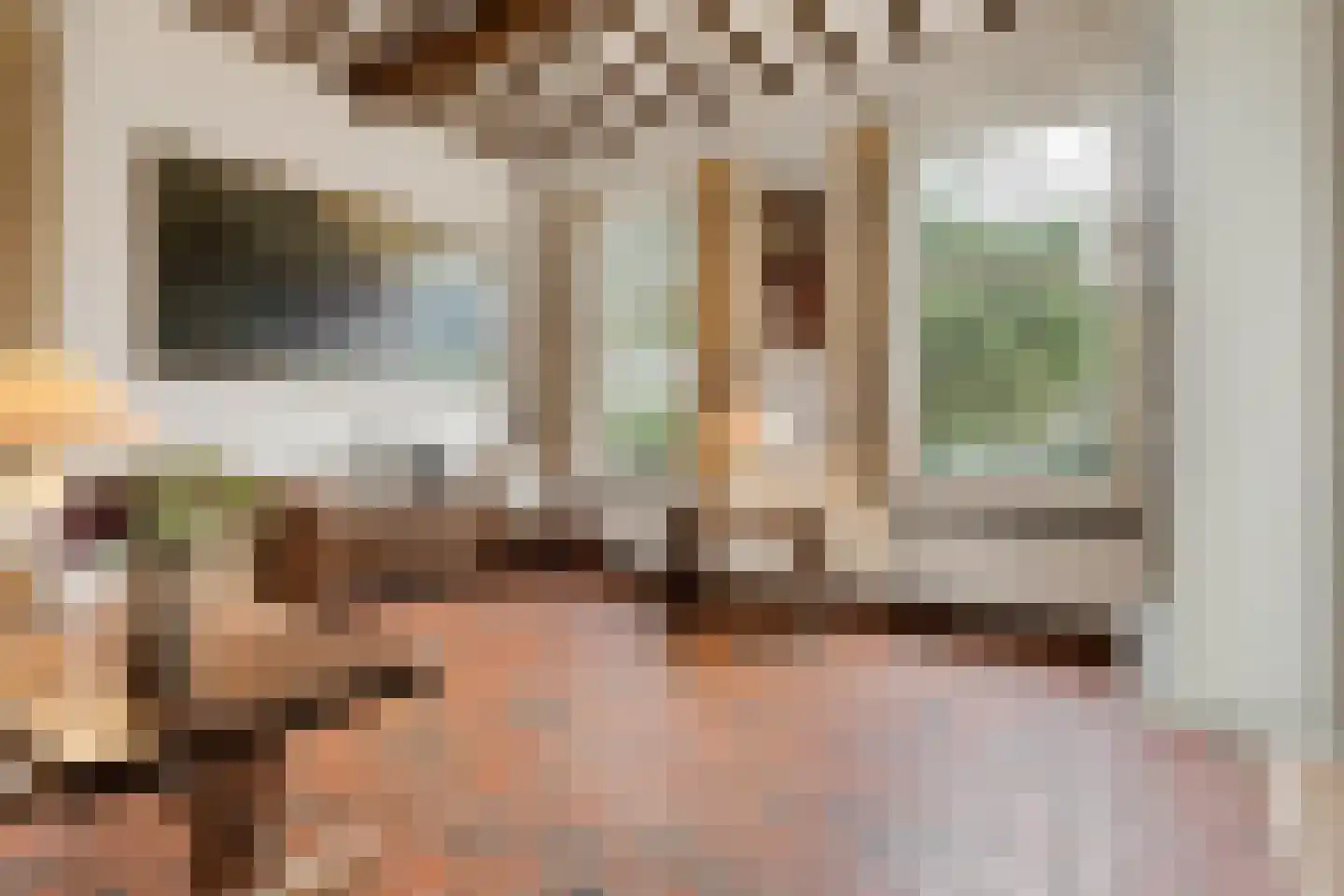 Leijsenstraat 23 Oosterhout thumbnail 11