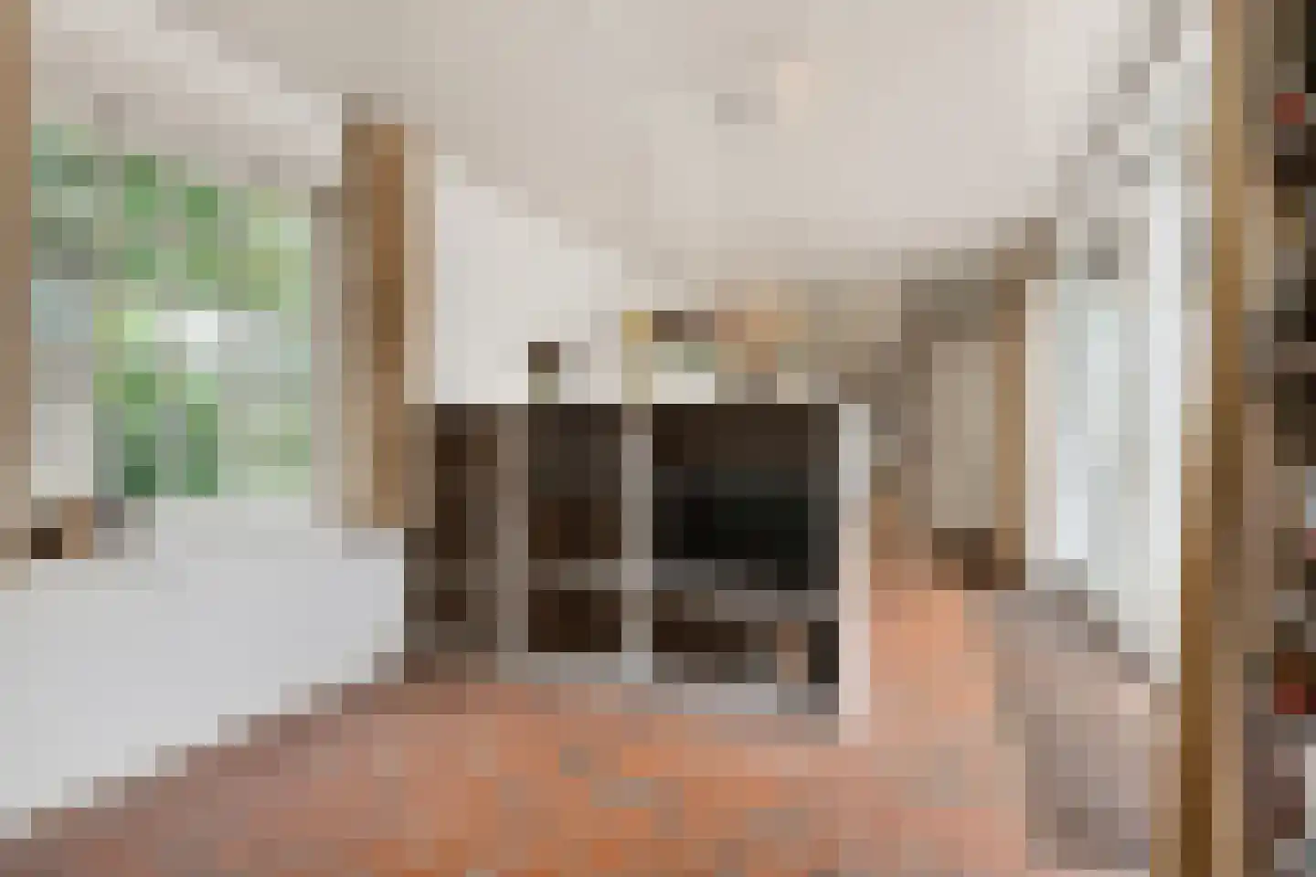 Leijsenstraat 23 Oosterhout thumbnail 19