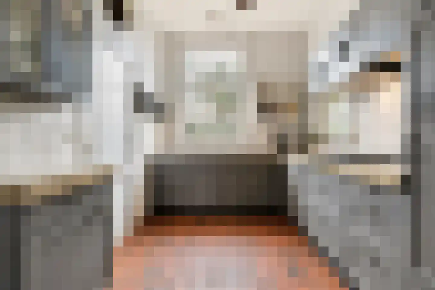 Leijsenstraat 23 Oosterhout thumbnail 22