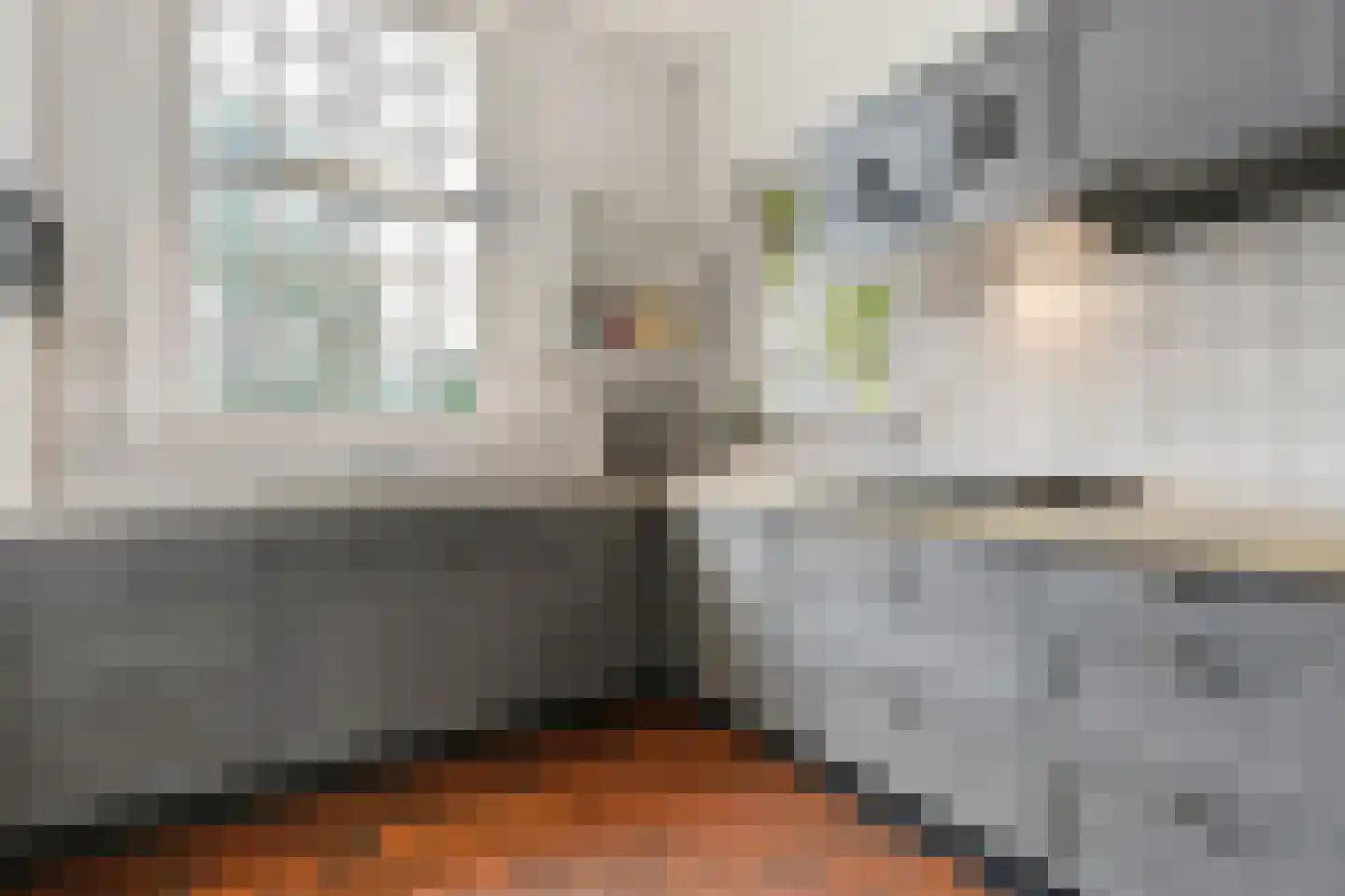 Leijsenstraat 23 Oosterhout thumbnail 23