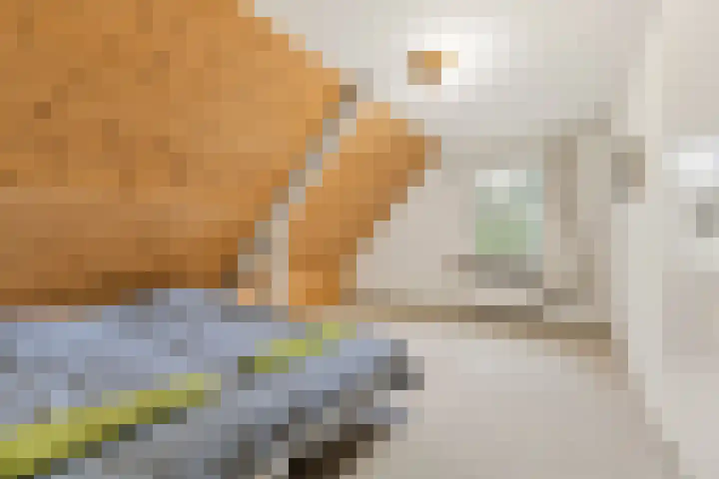 Leijsenstraat 23 Oosterhout thumbnail 35