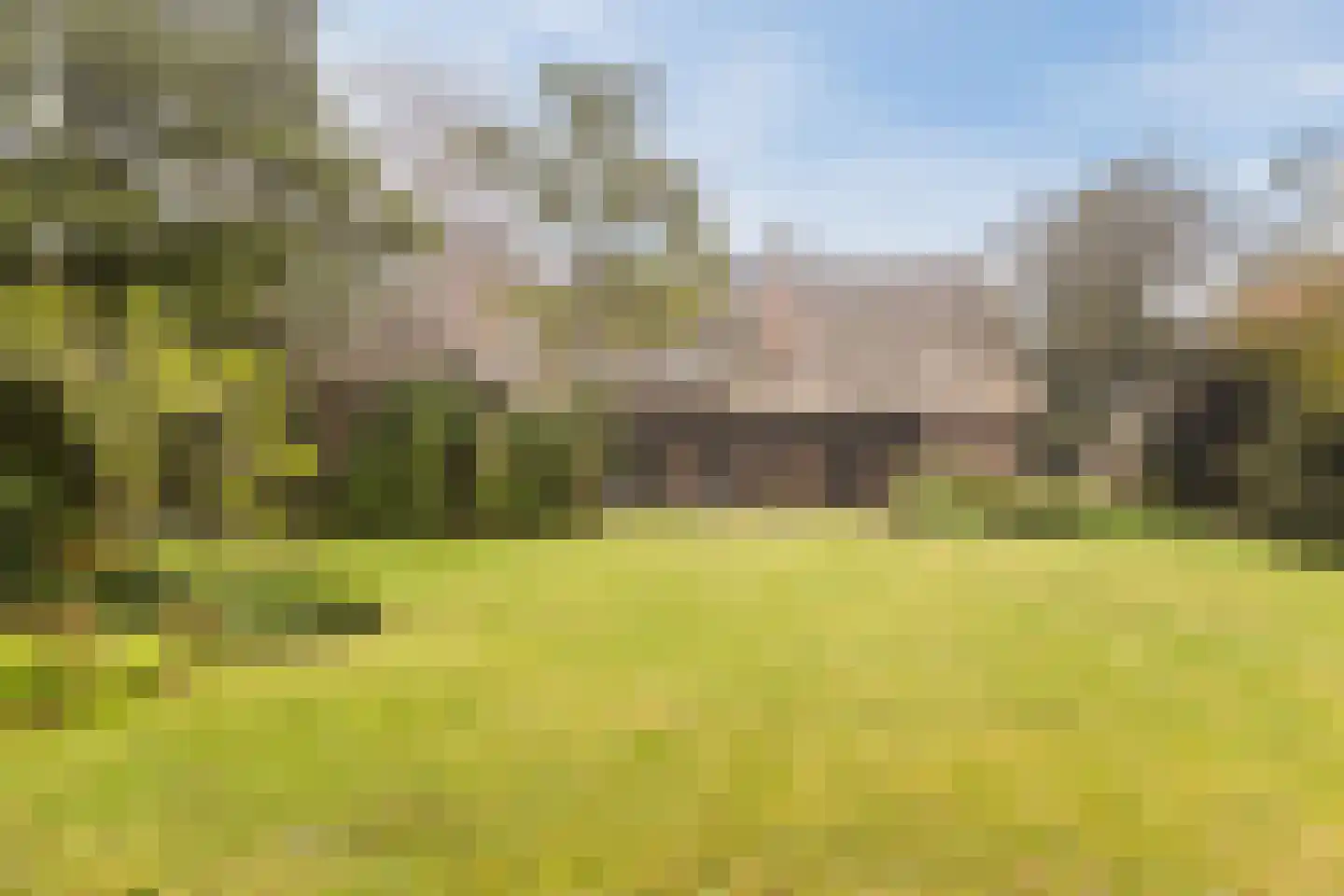 Leijsenstraat 23 Oosterhout thumbnail 4