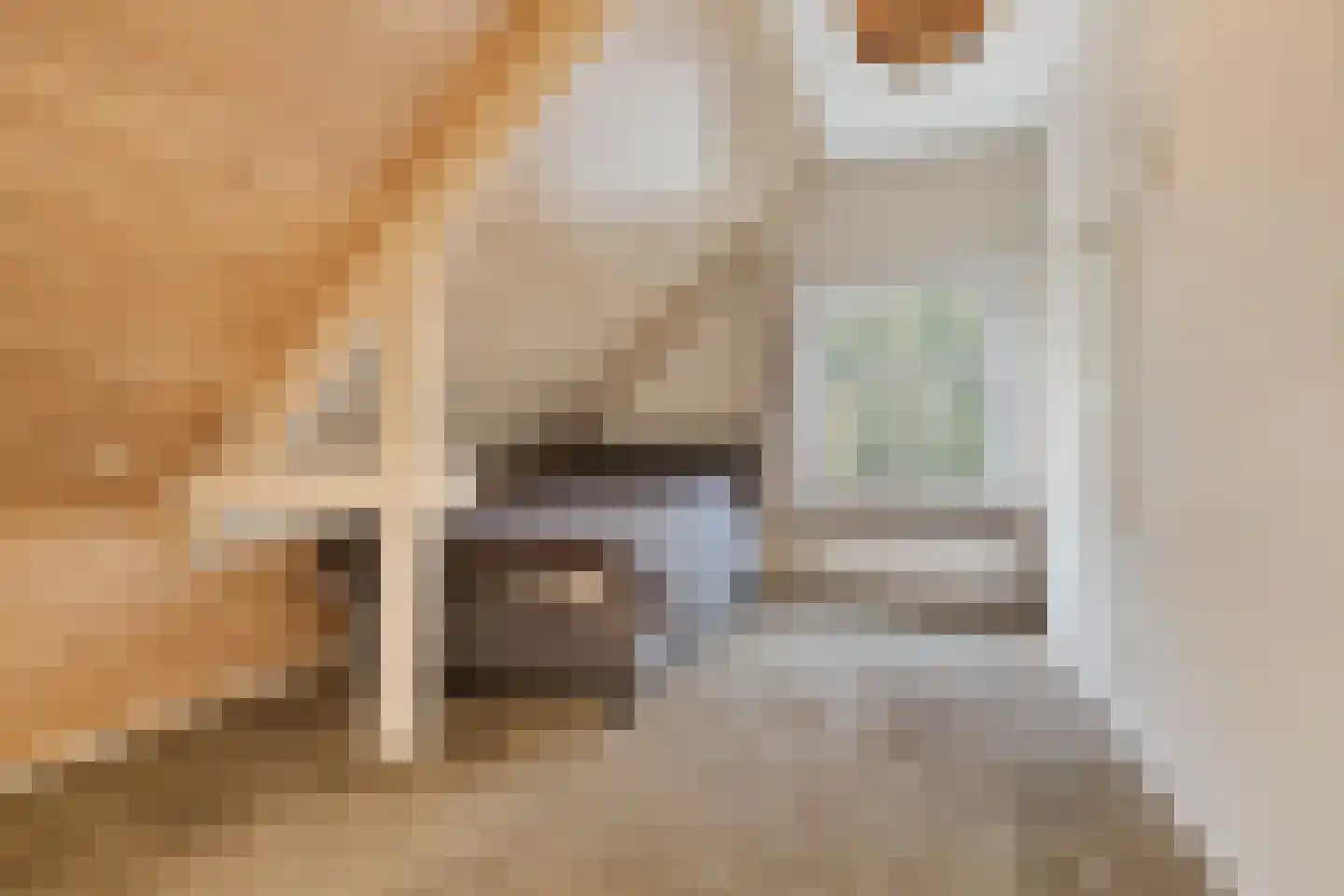 Leijsenstraat 23 Oosterhout thumbnail 41